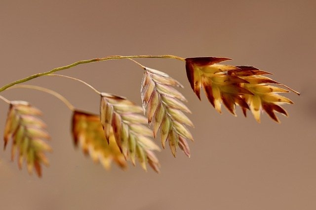 Produkt Bild